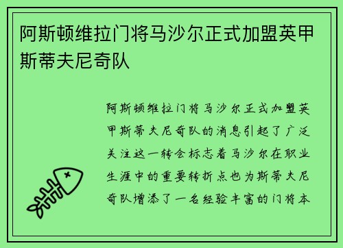 阿斯顿维拉门将马沙尔正式加盟英甲斯蒂夫尼奇队